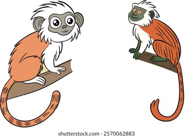 Tamarin bundle design art and illustrator eps