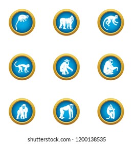 Tamarin icons set. Flat set of 9 tamarin vector icons for web isolated on white background