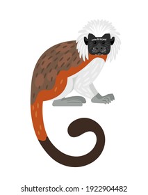 Tamarin monkey. Cartoon exotic primate, furry character of zoo with white head and brown tail, vector illustration of cotton top tamarin isolated on white background