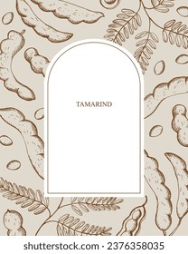 Tamarind border background for text hand drawn tropical plant vector illustration with engraving. Backdrop of exotic tamarinds peas with pod, beans, leaf. Food, flavoring, ayurvedic plants, wood