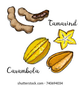 Tamarind, carambola. Fruits drawn by a line on a white background. Fruits from Thailand. Food sketch lines.