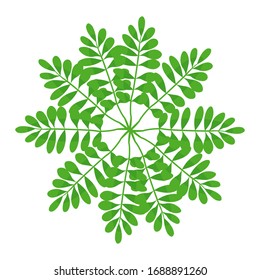 Ein Tamarinenkreis-Muster auf weißem Hintergrund. Vektorillustration