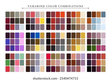 Tamarind color palette. Trend color palette guide template. Fit for fashion designers, business, and paints colors company. Match combinations. Vector graphics. Eps 10.