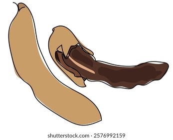 Tamarind in continuous line style on a white background.