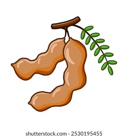 Tamarind drawing in a simple style. You can use it for children books, web design, posters, campaigns, and many more. 