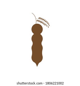 tamarind fresh fruit brown vector template illustration