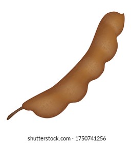 Tamarind fruit pod isolated on a white background.