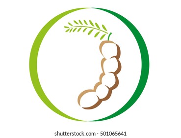 Tamarind fruit pod with leaves. A sweet and sour tropical and subtropical fruit used in cuisines, desserts, candy making, ice cream and a a traditional medicine and metal polish. Editable Clip Art.