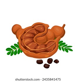 Semillas y vainas de frutas de tamarindo. ilustración vectorial icono plano de dibujos animados aislado en blanco. Vector eps 10. perfecto para papel pintado o elementos de diseño