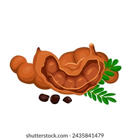 Tamarind fruit seeds and pods. vector illustration flat cartoon icon isolated on white.Vector eps 10. perfect for wallpaper or design elements