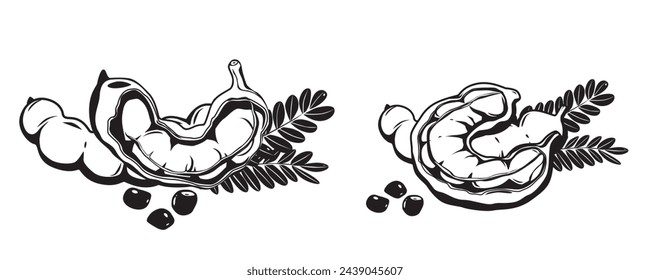 Tamarind fruit seeds and pods. vector illustration flat cartoon icon isolated on white.Vector eps 10. perfect for wallpaper or design elements