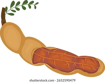 Tamarind sementes de frutas e vagens vetor ilustração ícone de desenho animado plano isolado no branco