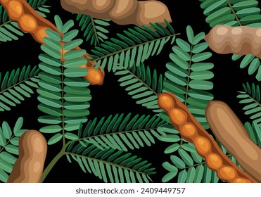 tamarind fruit tree asam java vector illustration with dark background for design purposes.