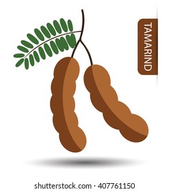 Tamarind, Fruit Vector Illustration