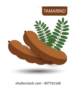 Tamarind, Fruit Vector Illustration