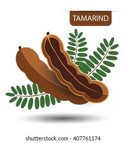 Tamarind, Fruit Vector Illustration