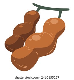 Tamarind fruit vector illustration, buah asam or tamarindo fruits isolated on white background, indian date or asam jawa clipart, amlika imli or chincha