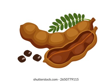 Tamarindenfrucht   Vektorgrafik, flache Karikatur, Symbol einzeln auf weiß.Vektor eps 10. perfekt für Tapeten oder Designelemente