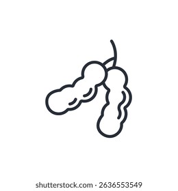 estilo .design de coleção de ícones do tamarind com plano de fundo