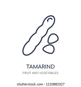 Tamarind icon. Tamarind linear symbol design from Fruit and vegetables collection. Simple outline element vector illustration on white background.