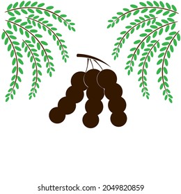 Diseño vectorial del icono Tamarind
