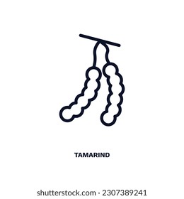 tamarind icon. Thin line tamarind icon from vegetables and fruits collection. Outline vector isolated on white background. Editable tamarind symbol can be used web and mobile