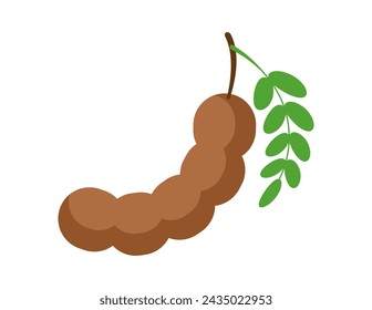 tamarind illustration for coloring book template, tamarind for kids worksheet printable