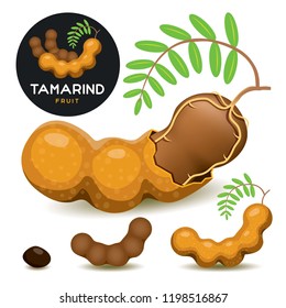 Tamarind Isolated Vector