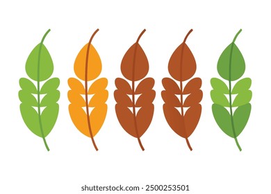 Tamarind Leaf Color Art Detailed Botanical Illustration for Leaf Enthusiasts