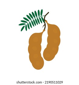 tamarind logo icon vektor template