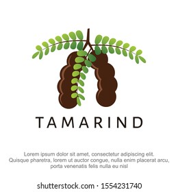 Tamarind logo vector illustration template