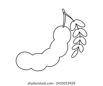 tamarind outline for coloring book template, tamarind for kids illustration worksheet printable