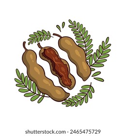 
Tamarind is a plant from Java which functions as a spice and is efficacious in traditional medicine.