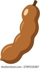 Tamarind Pod botanical fruit pod vector illustration isolated on white background.