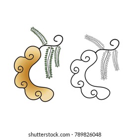 Tamarind in Thai Style illustration (vector)