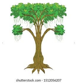 
tamarind tree with thick leaves