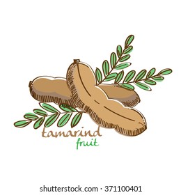 Tamarind Vector