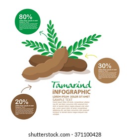 Tamarind Vector