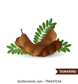 Tamarind Vector Illustration