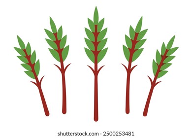 Tamarisk Leaf Color Art Detailed Botanical Illustration for Leaf Enthusiasts