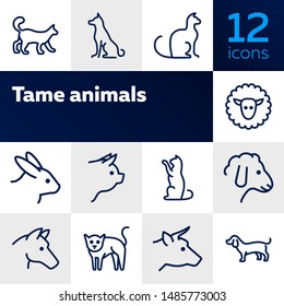 Tame animals line icon set. Set of line icons on white background. Beef, horse, cat. Household concept. Vector illustration can be used for topics like household, nature, farm