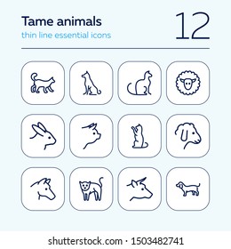 Tame animals line icon set. Set of line icons on white background. Beef, horse, cat. Household concept. Vector illustration can be used for topics like household, nature, farm