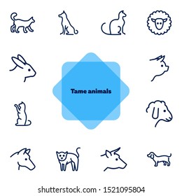 Tame animals line icon set. Set of line icons on white background. Beef, horse, cat. Household concept. Vector illustration can be used for topics like household, nature, farm