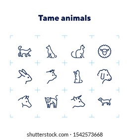 Tame animals line icon set. Set of line icons on white background. Beef, horse, cat. Household concept. Vector illustration can be used for topics like household, nature, farm