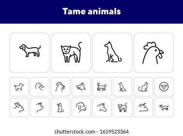 Tame animals line icon set. Set of line icons on white background. Beef, horse, cat. Household concept. Vector illustration can be used for topics like household, nature, farm