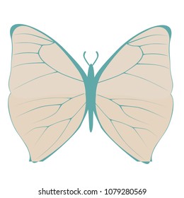Tan butterfly.  Transparent background in vector file.