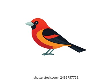 Tanager Vogel Vektorgrafik Bild Kunst Illustration