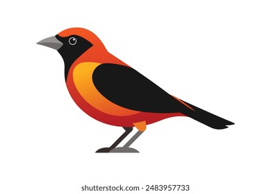 Tanager Vogel Vektorgrafik Bild Kunst Illustration