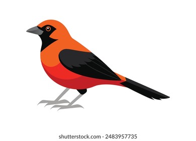 Tanager Vogel Vektorgrafik Bild Kunst Illustration