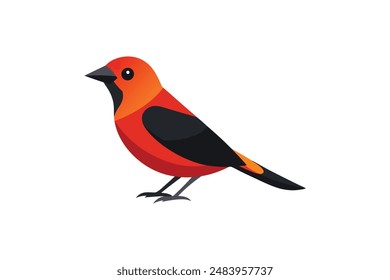 Tanager Vogel Vektorgrafik Bild Kunst Illustration